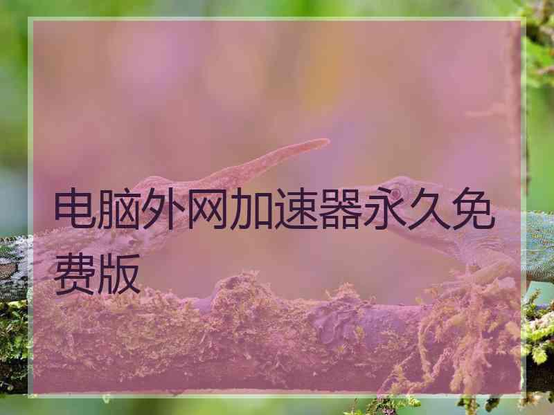 电脑外网加速器永久免费版 电脑外网加速器永久免费版