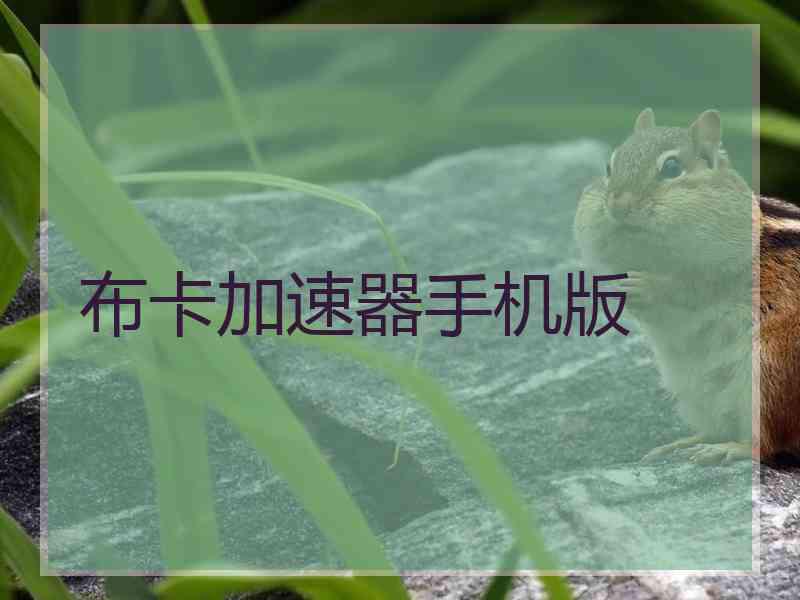 布卡加速器手机版 布卡加速器手机版