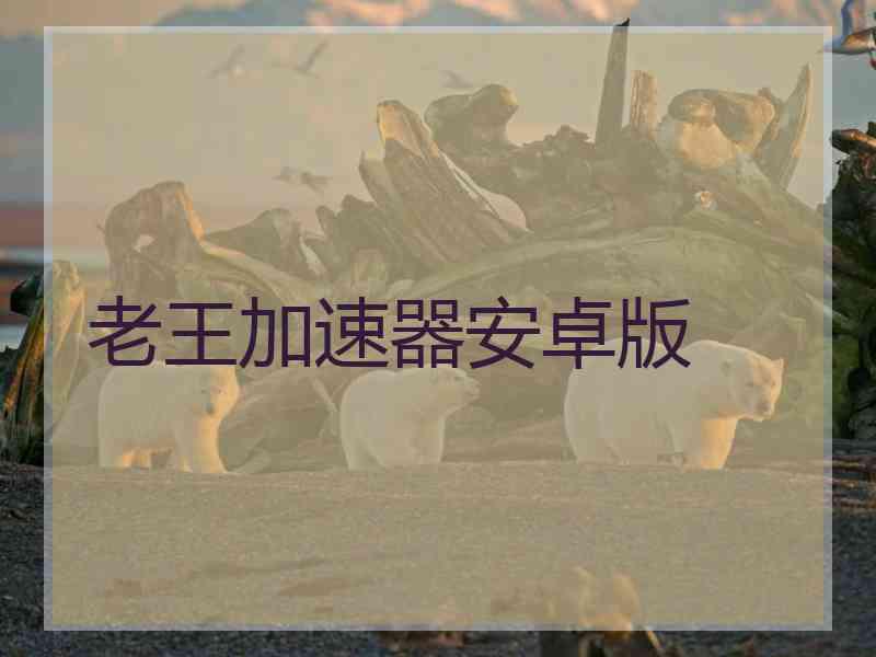 老王加速器安卓版 老王加速器安卓版