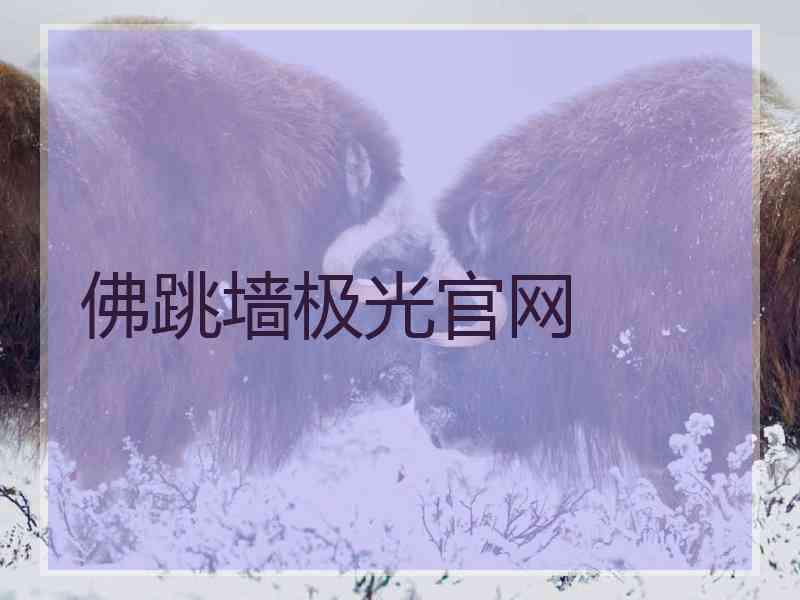 佛跳墙极光官网 佛跳墙极光官网