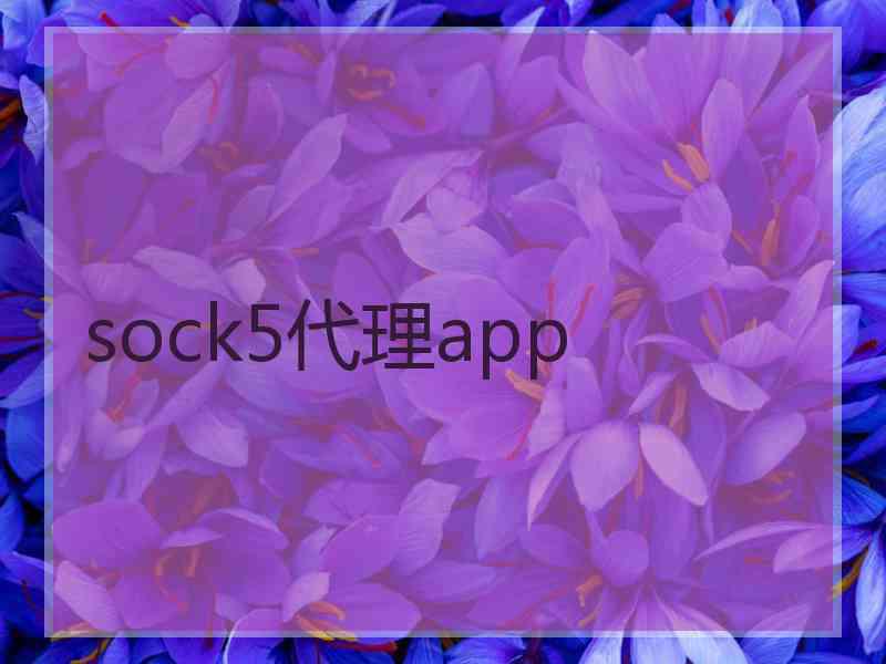 sock5代理app