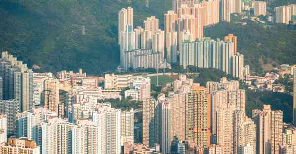 佛跳墙官方vnp