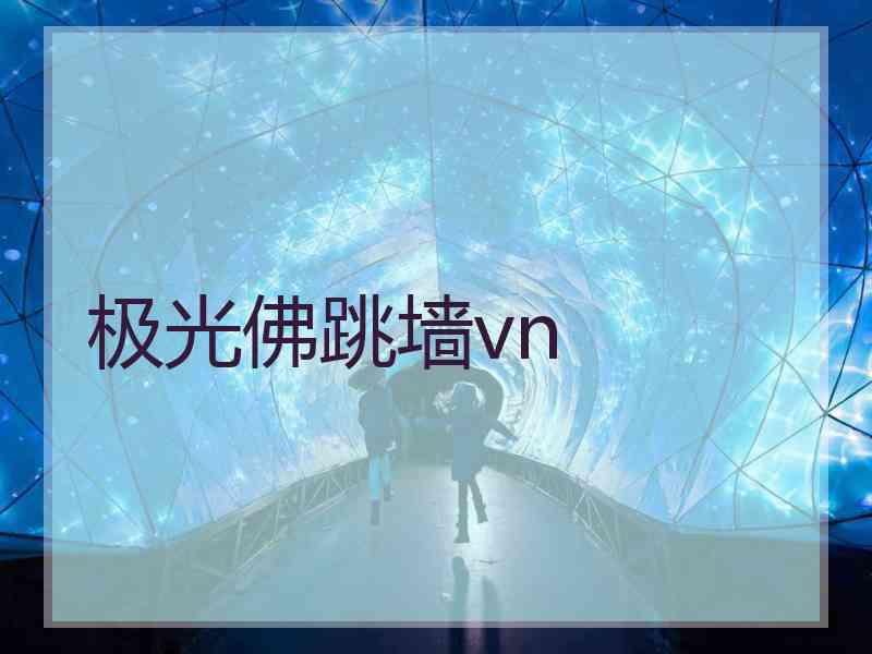 极光佛跳墙vn