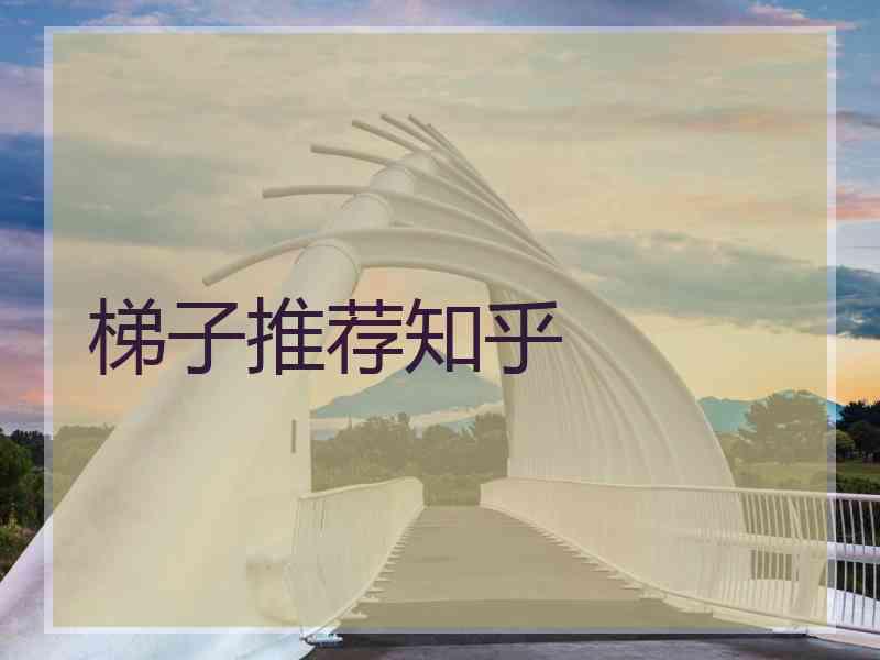 梯子推荐知乎