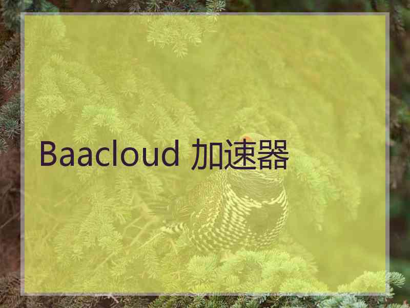 Baacloud 加速器