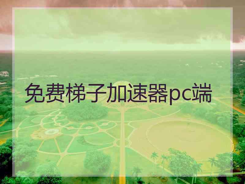 免费梯子加速器pc端