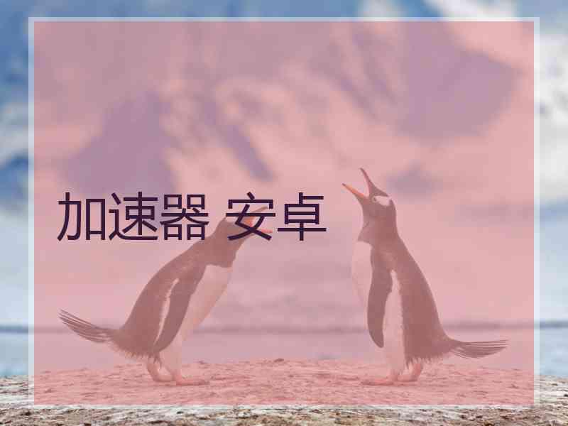 加速器 安卓