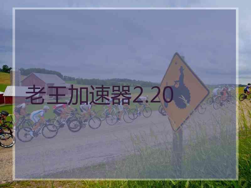 老王加速器2.20