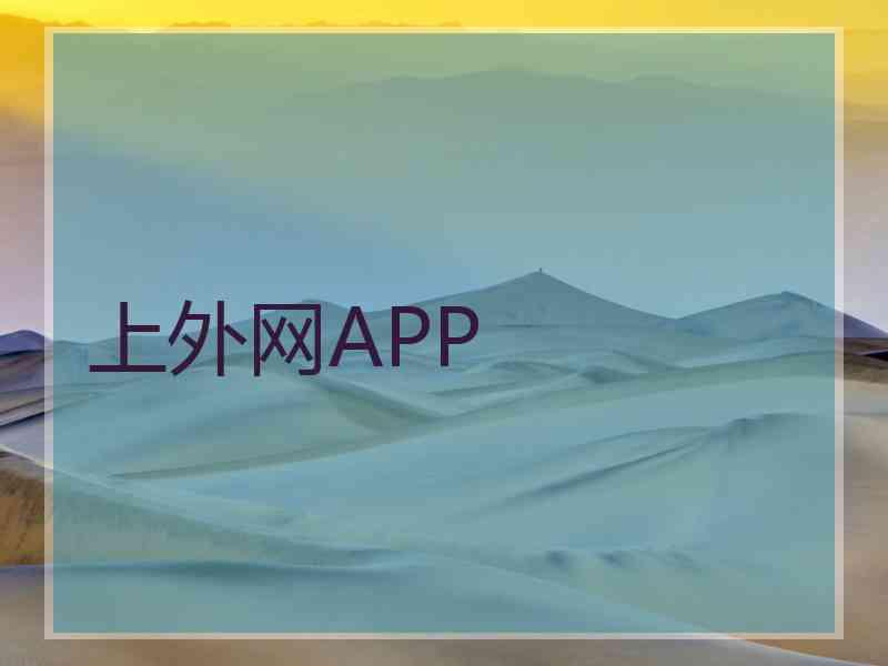上外网APP