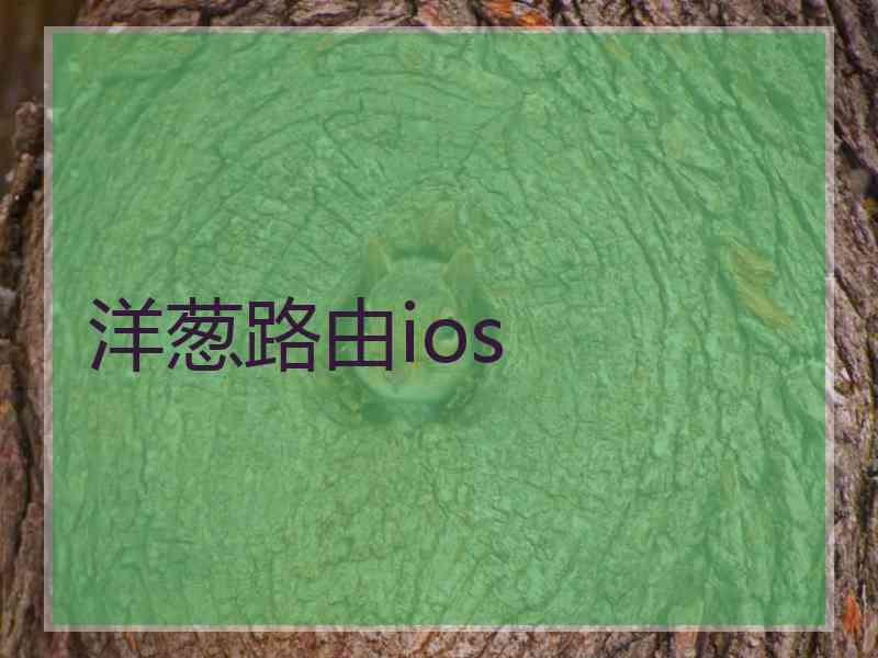 洋葱路由ios