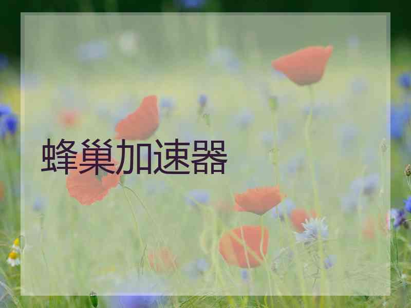 蜂巢加速器
