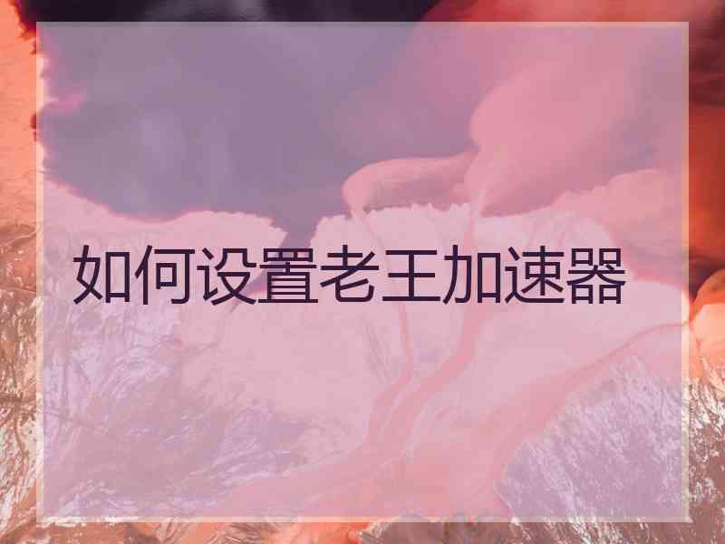 如何设置老王加速器