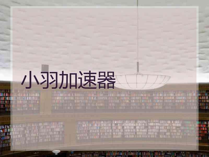 小羽加速器