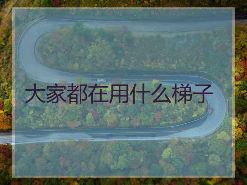 大家都在用什么梯子