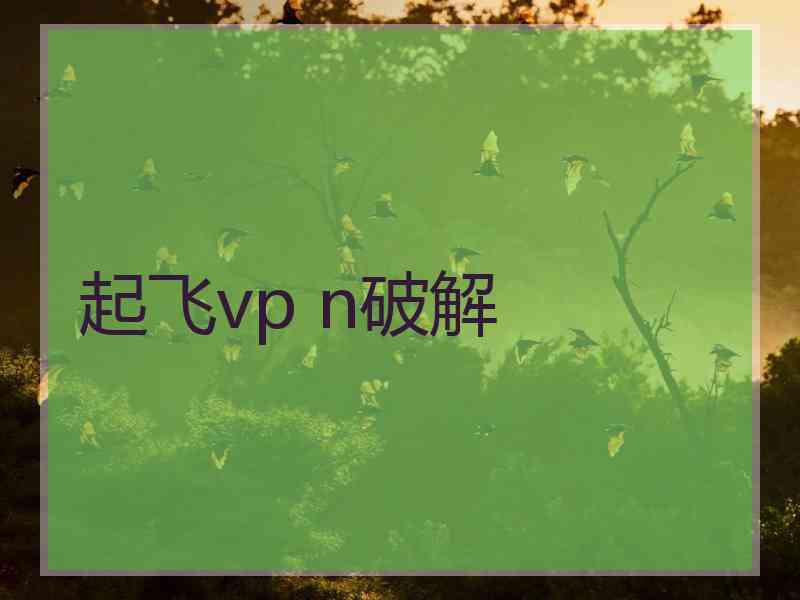 起飞vp n破解