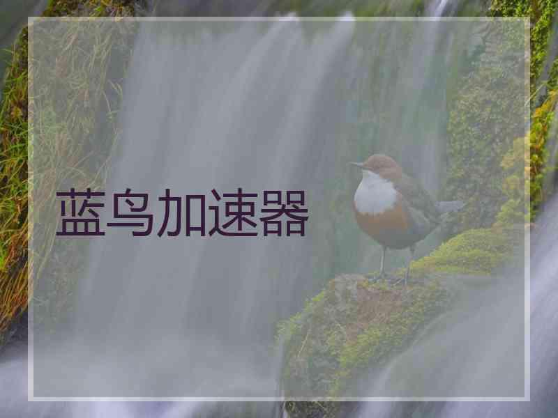 蓝鸟加速器
