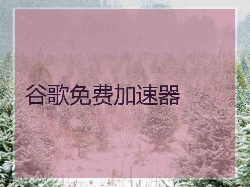 谷歌免费加速器