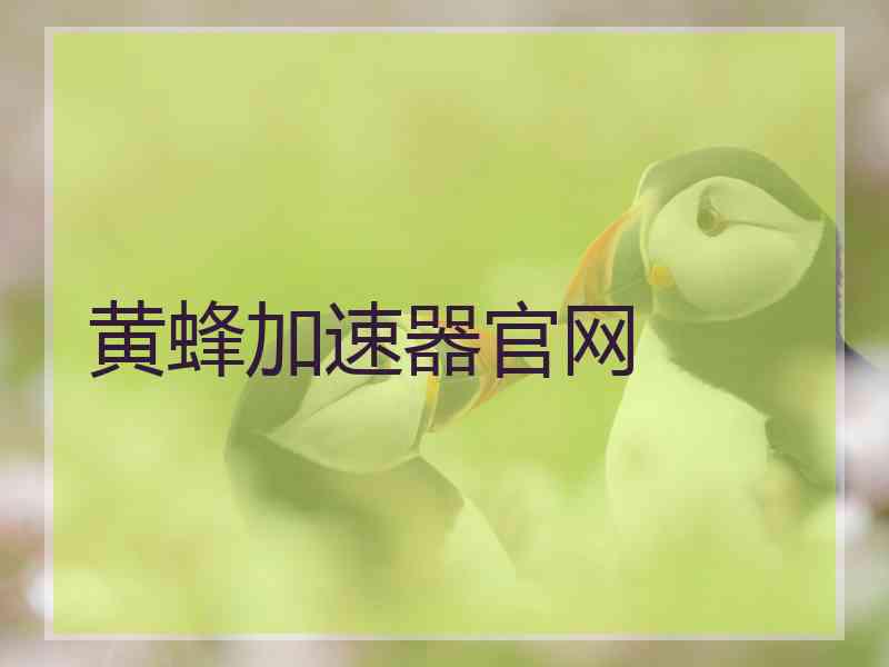 黄蜂加速器官网