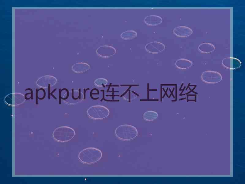 apkpure连不上网络