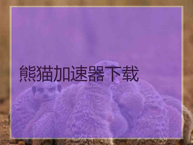 熊猫加速器下载