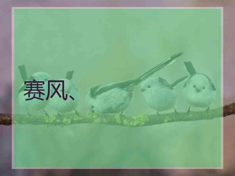 赛风、