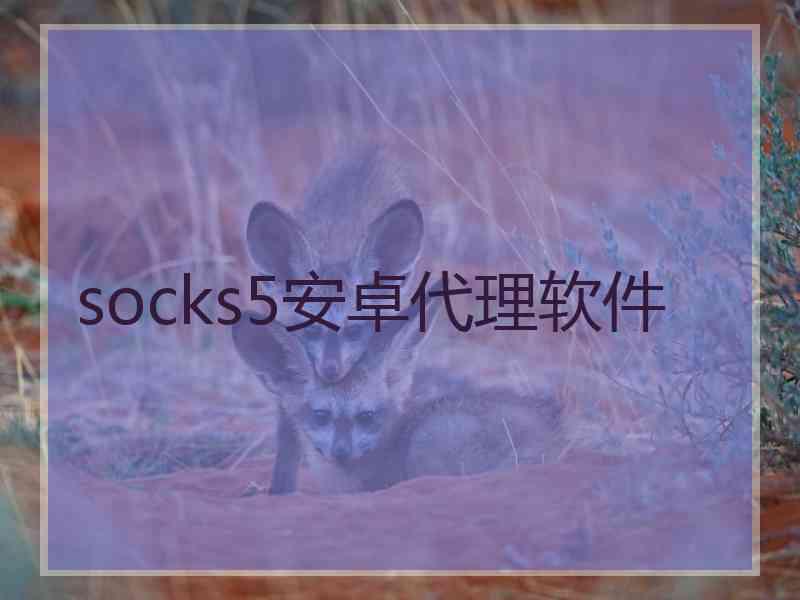 socks5安卓代理软件