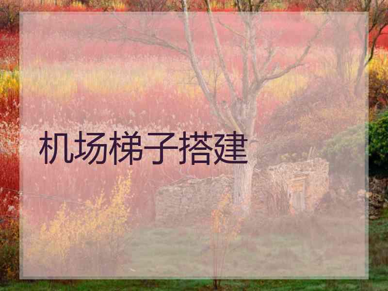 机场梯子搭建