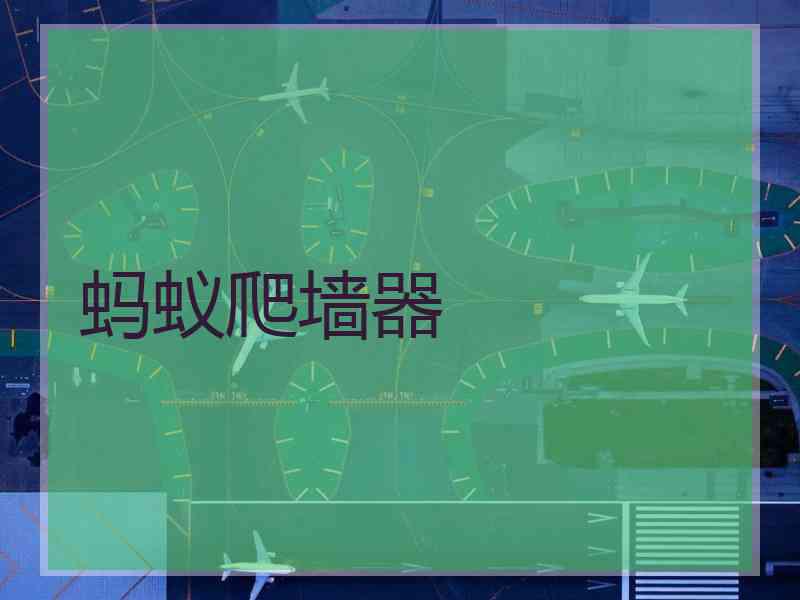 蚂蚁爬墙器