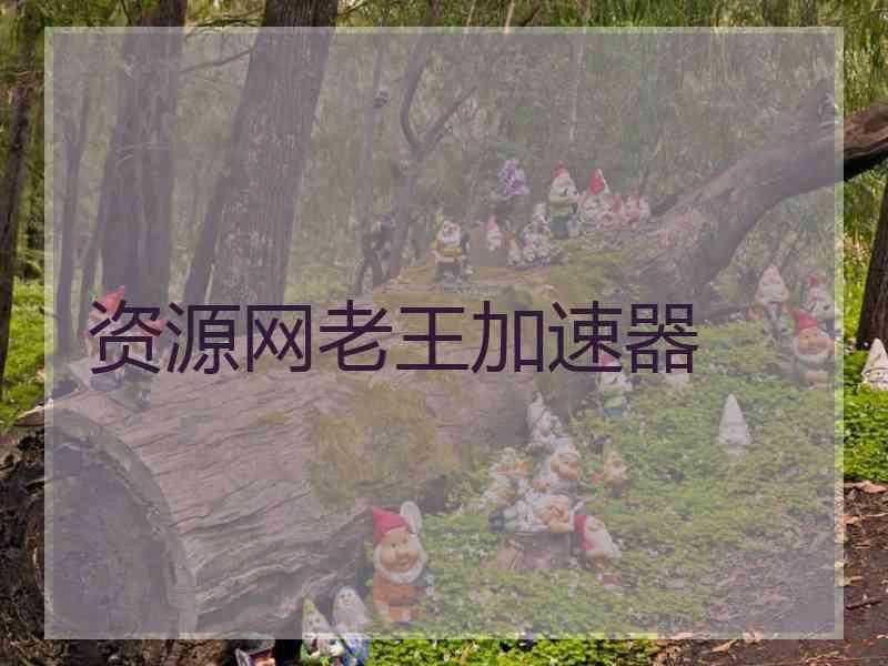 资源网老王加速器