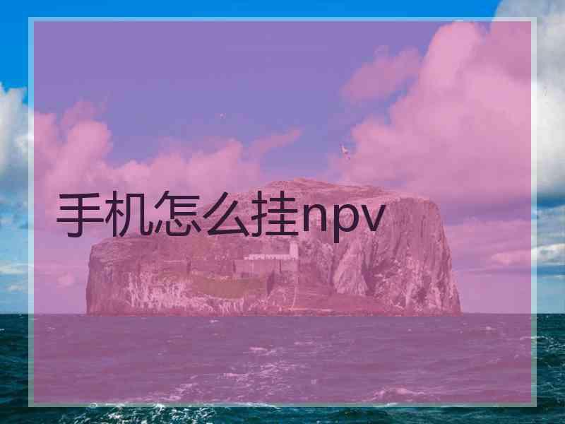 手机怎么挂npv