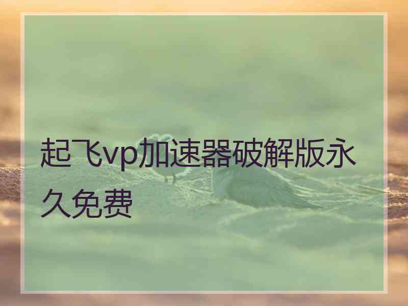 起飞vp加速器破解版永久免费