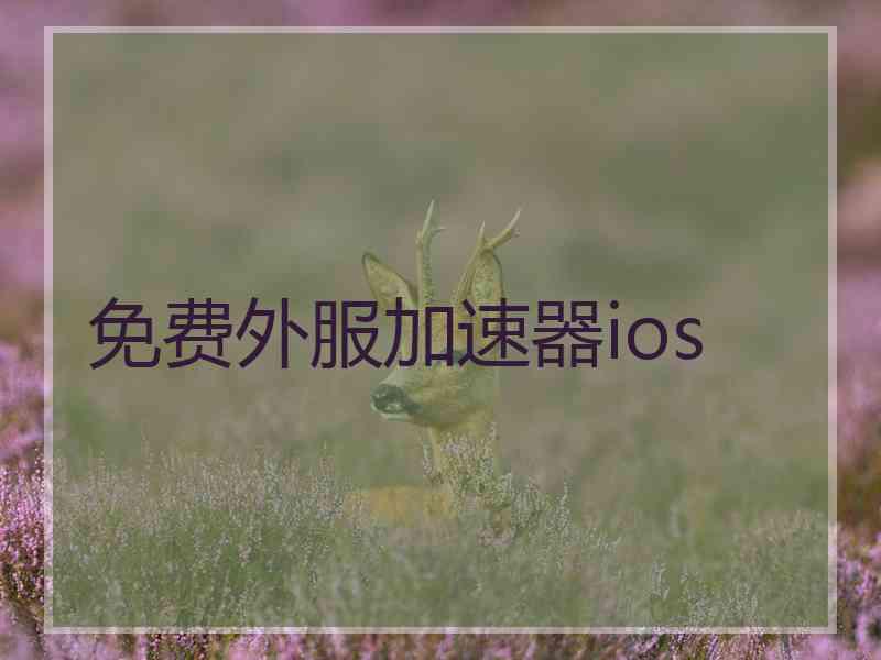 免费外服加速器ios