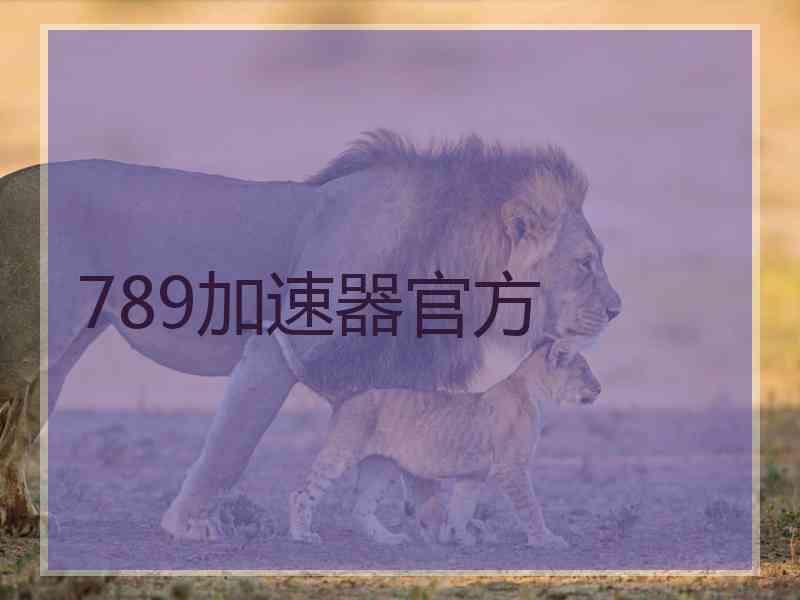 789加速器官方