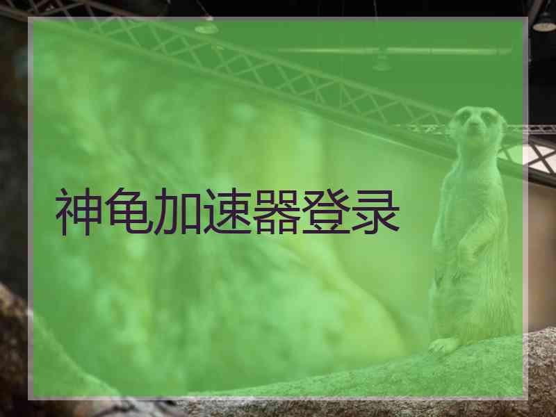神龟加速器登录