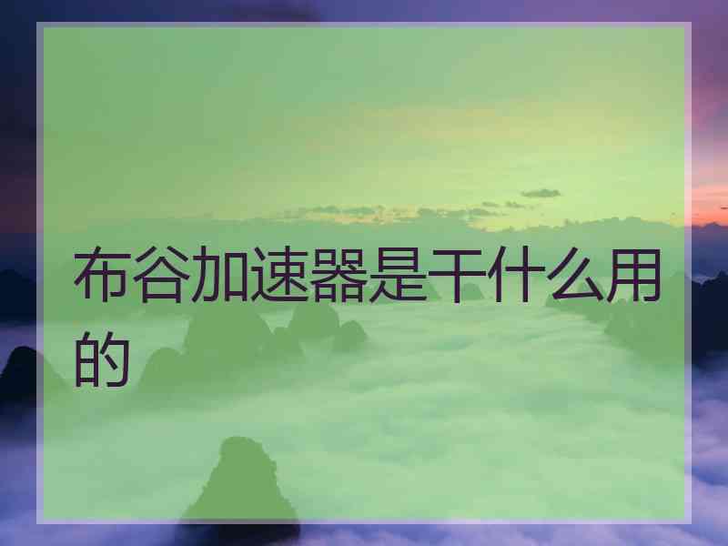 布谷加速器是干什么用的
