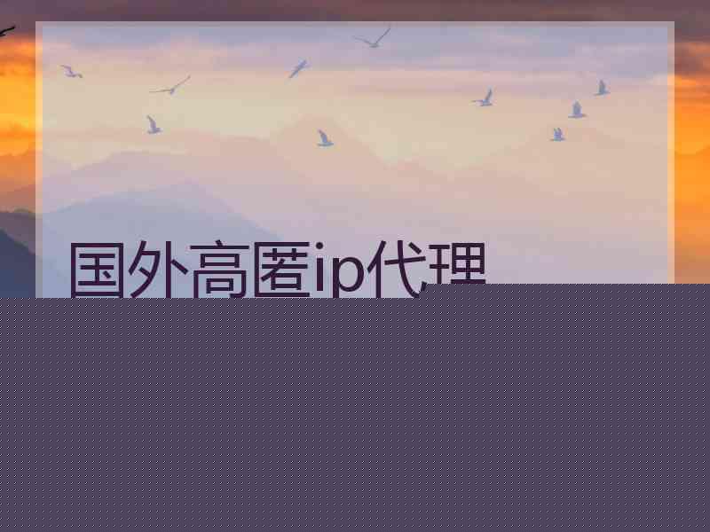 国外高匿ip代理