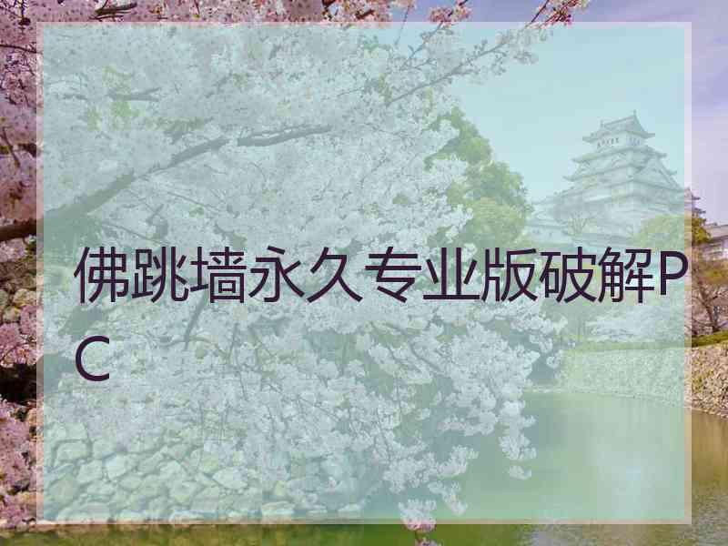 佛跳墙永久专业版破解PC