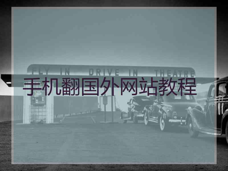 手机翻国外网站教程