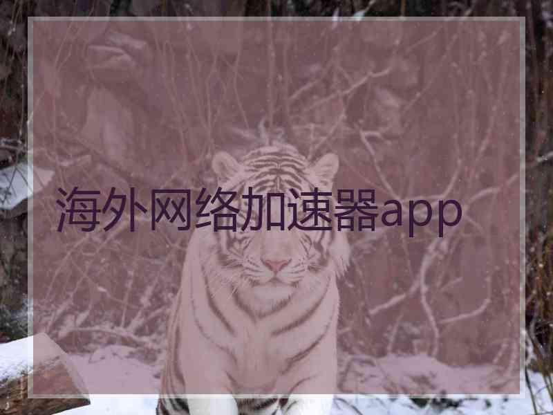 海外网络加速器app
