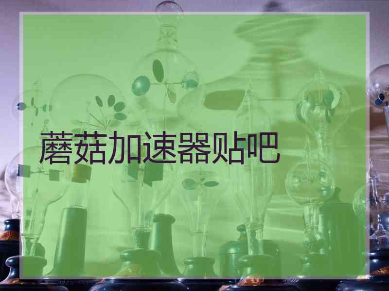 蘑菇加速器贴吧