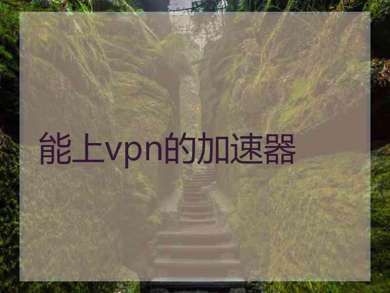 能上vpn的加速器