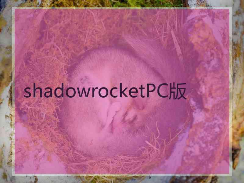 shadowrocketPC版