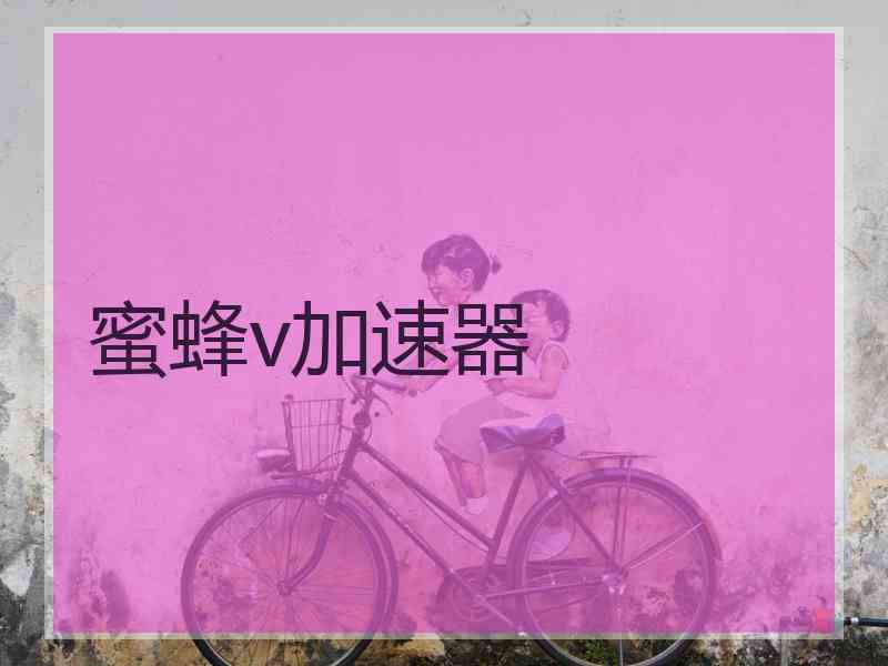 蜜蜂v加速器