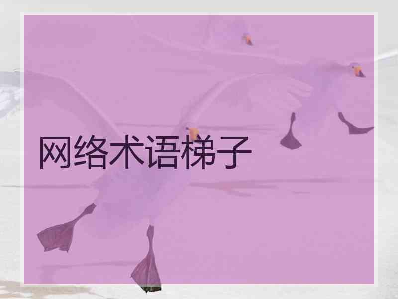 网络术语梯子