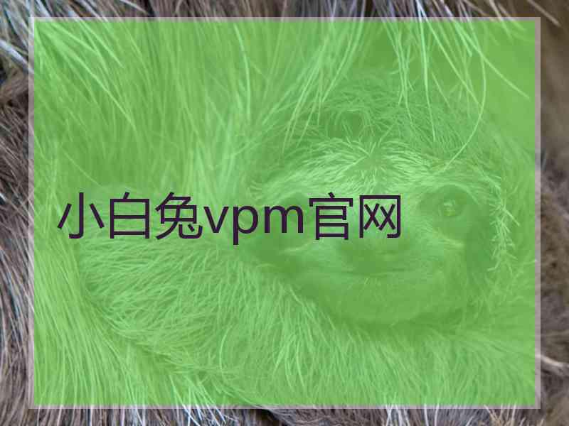 小白兔vpm官网