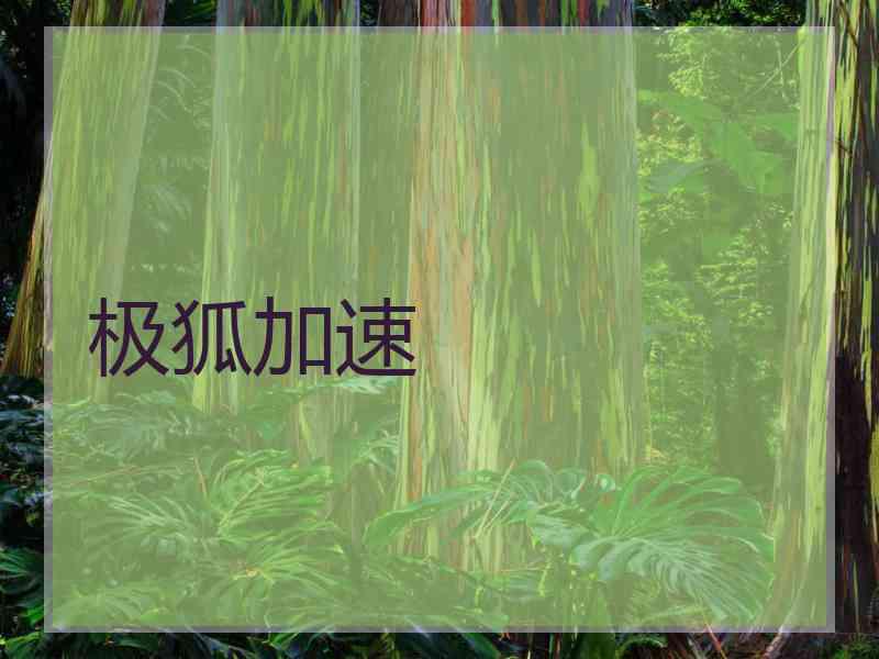 极狐加速