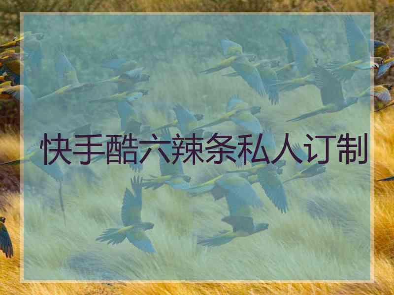 快手酷六辣条私人订制