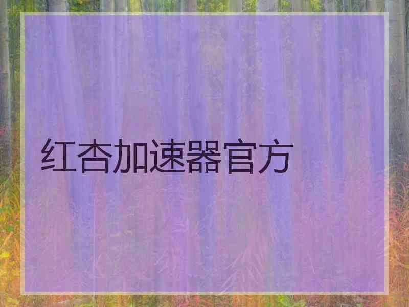 红杏加速器官方