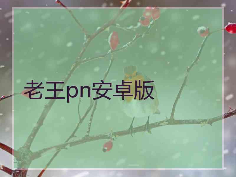 老王pn安卓版