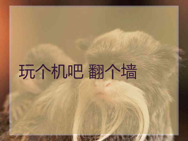 玩个机吧 翻个墙
